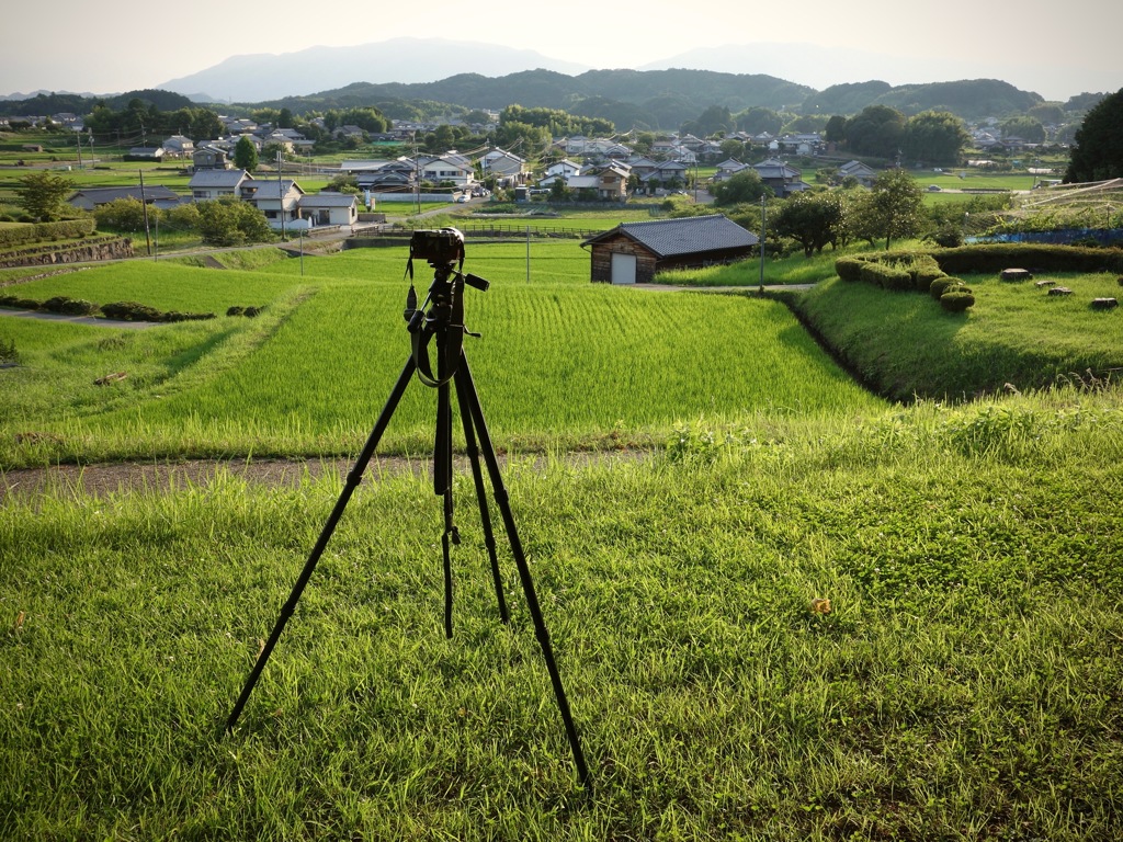 明日香村 平田 （ 国営飛鳥歴史公園 高松塚地区 ）
