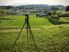 明日香村 平田 （ 国営飛鳥歴史公園 高松塚地区 ）