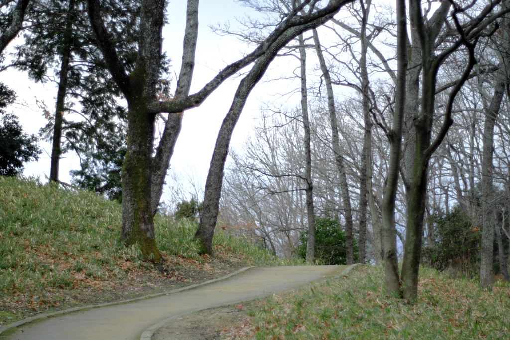 明日香村　大字豊浦　甘樫丘