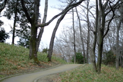 明日香村 大字豊浦 甘樫丘 明日香村 大字豊浦 甘樫丘