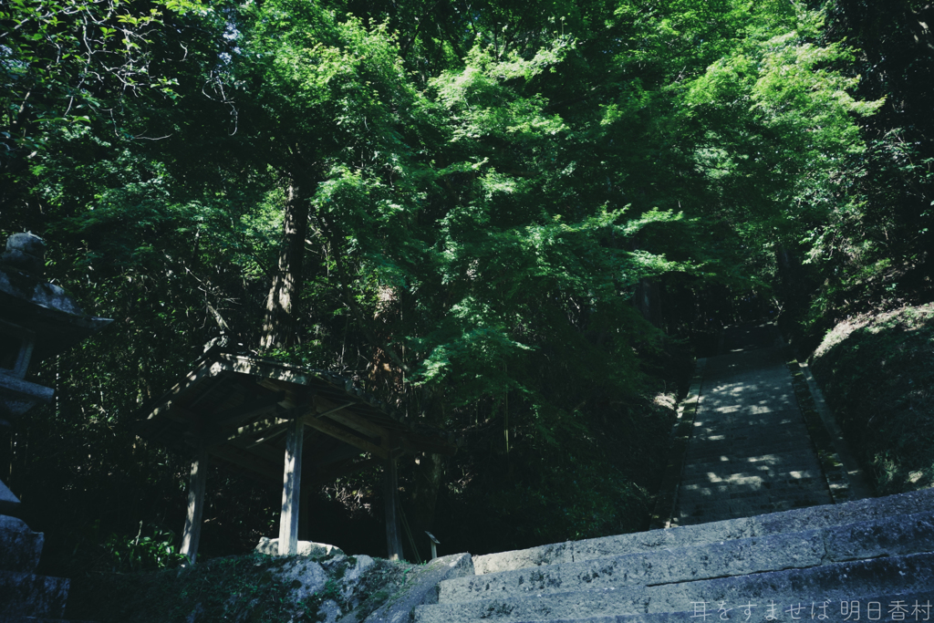 明日香村　大字稲渕（ 飛鳥川上坐宇須多伎比賣命神社 ）