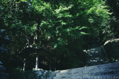 明日香村　大字稲渕（ 飛鳥川上坐宇須多伎比賣命神社 ）