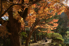 奈良県御所市　九品寺