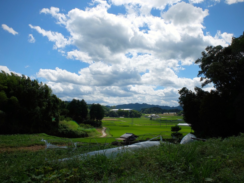 明日香村　大字平田