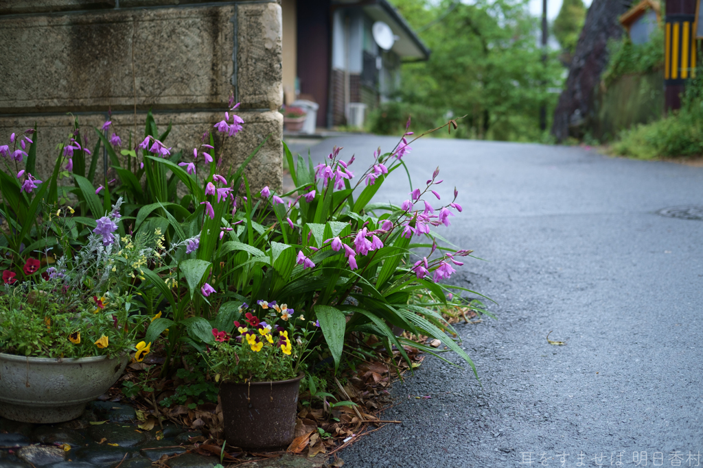 明日香村　大字立部