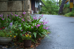 明日香村　大字立部