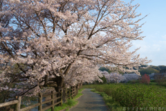明日香村　大字川原