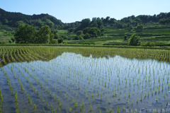 明日香村 大字稲渕 明日香村 大字稲渕