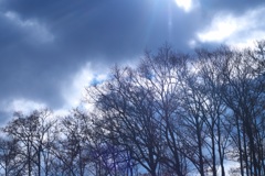 明日香村 大字平田 明日香村 大字平田