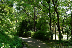 明日香村 大字平田( 国営飛鳥歴史公園 高松塚周辺地区 ) 明日香村 大字平田( 国営飛鳥歴史公園 高松塚周辺地区 )
