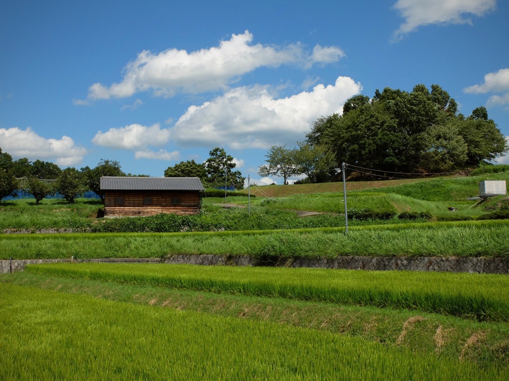 明日香村　大字平田