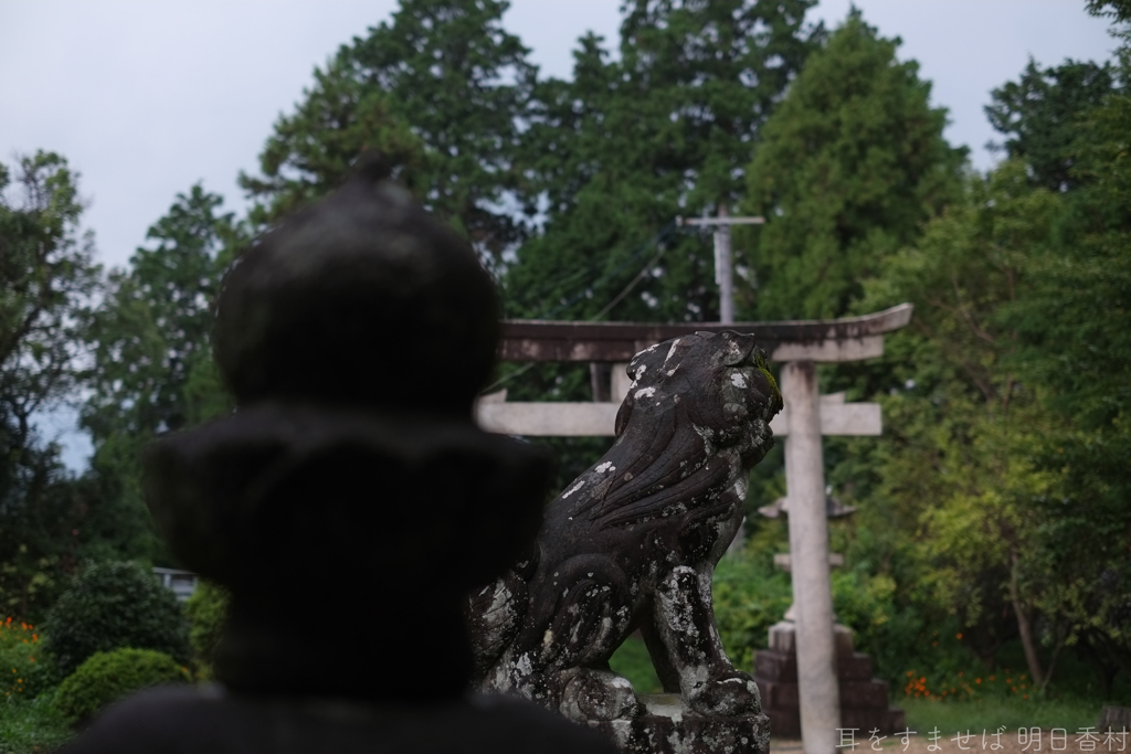 明日香村　大字檜前（ 檜隈寺跡 ）