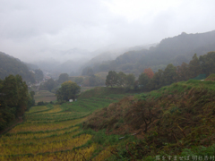明日香村　大字稲渕