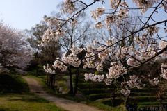 明日香村 大字稲渕 明日香村 大字稲渕