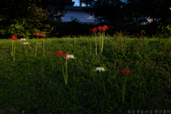 明日香村　大字祝戸