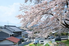 明日香村　大字川原