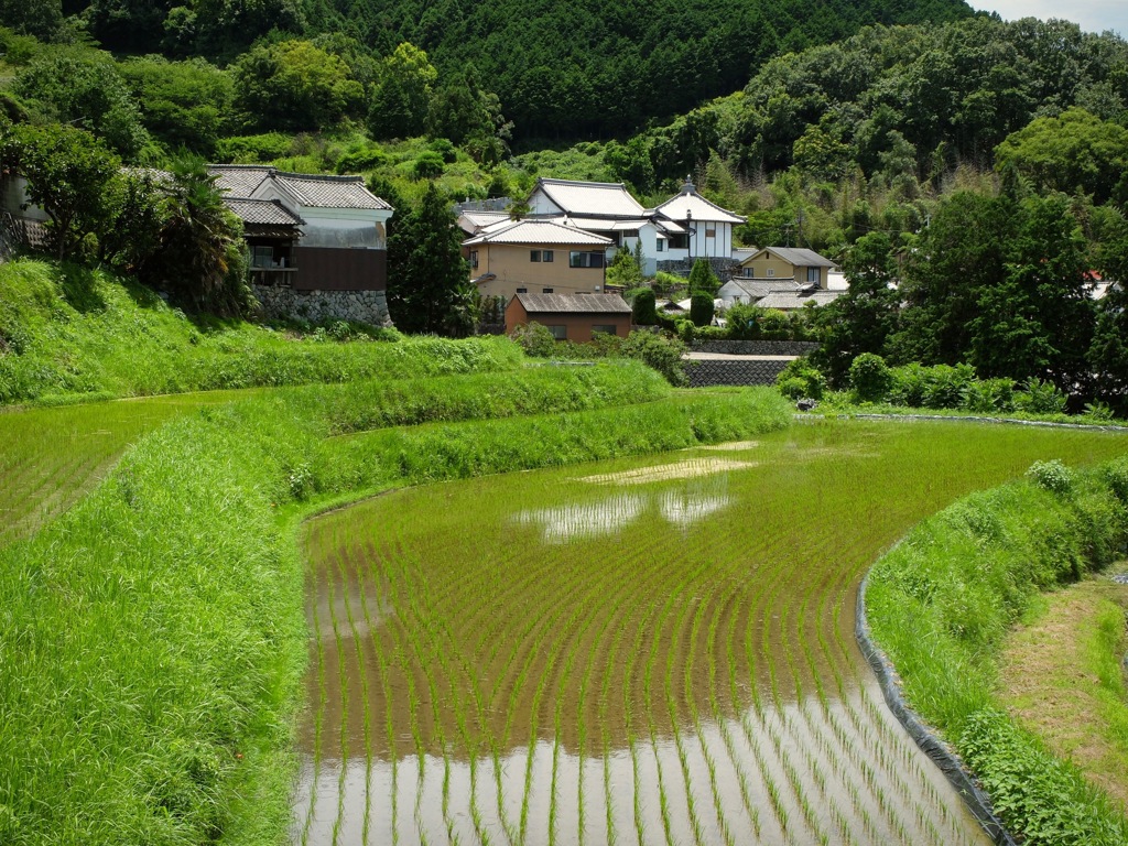 明日香村 祝戸地区
