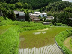明日香村 祝戸地区