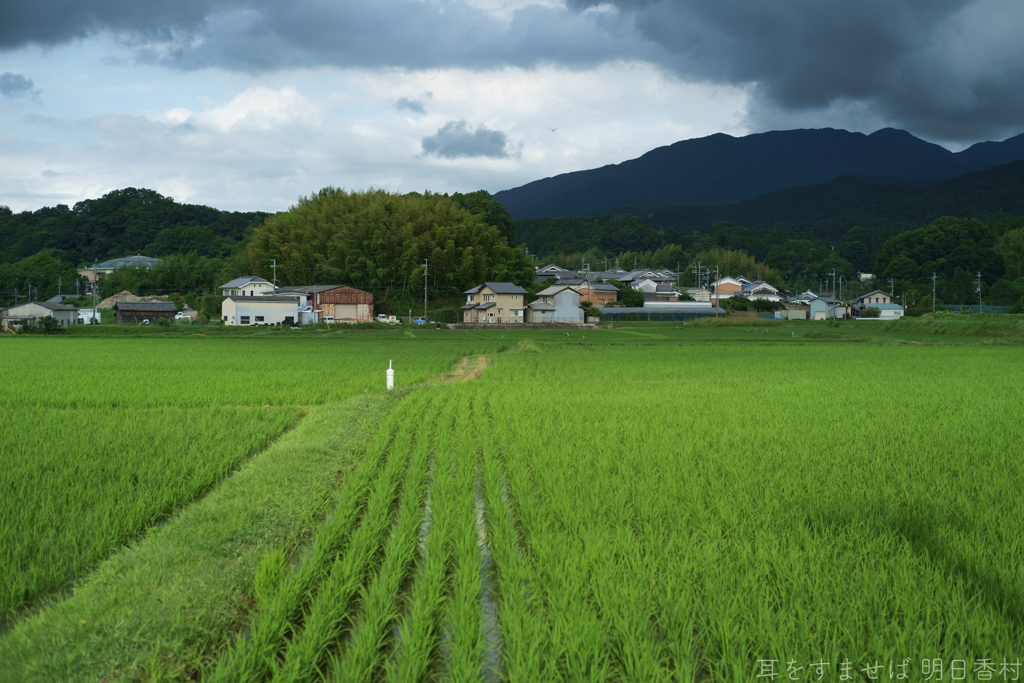 明日香村　大字奥山