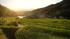 明日香村 尾曽