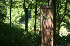明日香村 大字平田( 国営飛鳥歴史公園 高松塚周辺地区 ) 明日香村 大字平田( 国営飛鳥歴史公園 高松塚周辺地区 )