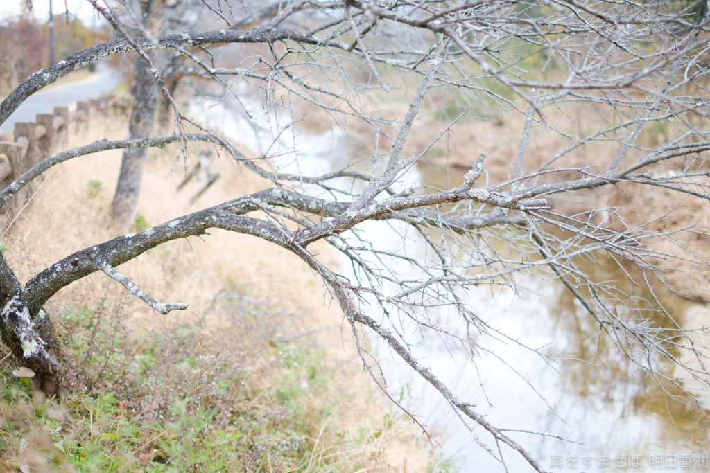 明日香村　大字豊浦