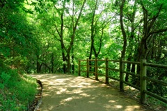 明日香村 大字豊浦 甘樫丘 明日香村 大字豊浦 甘樫丘