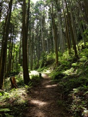 明日香村 阪田