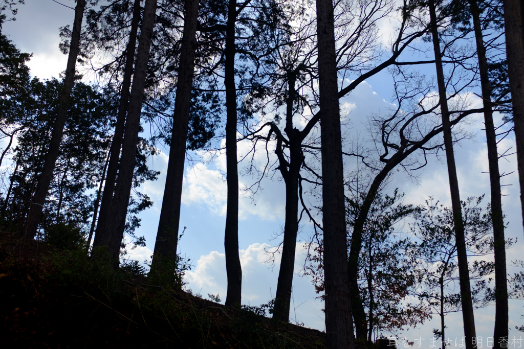明日香村　大字阿部山