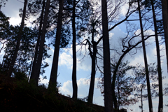 明日香村 大字阿部山 明日香村 大字阿部山