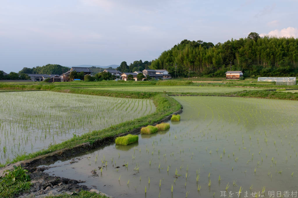 明日香村　大字岡