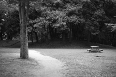 明日香村 大字平田( 国営飛鳥歴史公園 高松塚周辺地区 ) 明日香村 大字平田( 国営飛鳥歴史公園 高松塚周辺地区 )