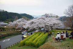 明日香村　大字島庄（ 石舞台古墳 ）