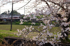 明日香村大字平田