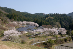 明日香村 大字稲渕 明日香村 大字稲渕
