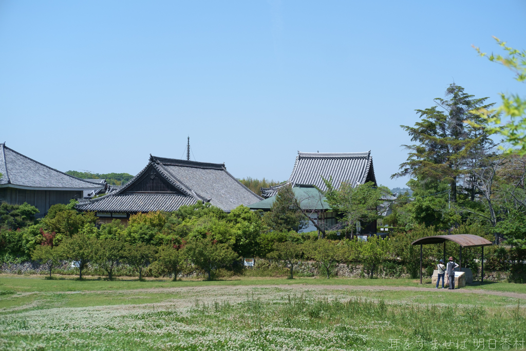 大阪府太子町（ 竹内街道　叡福寺 ）