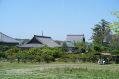 大阪府太子町（ 竹内街道　叡福寺 ）