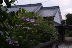 明日香村　大字平田