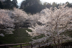 明日香村 大字稲渕 明日香村 大字稲渕