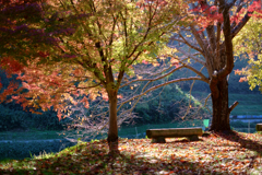 明日香村　大字稲渕