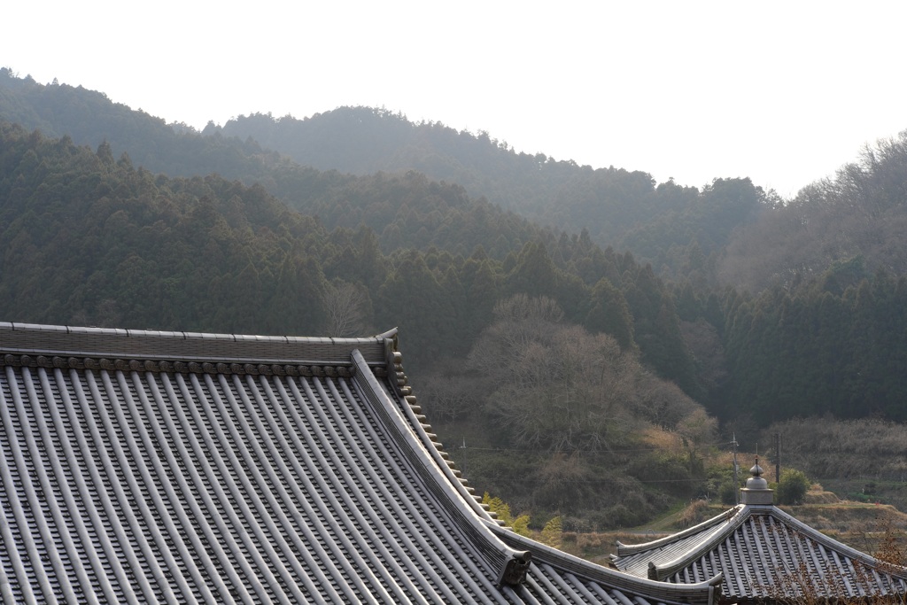明日香村　大字稲渕　龍福寺