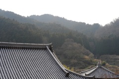 明日香村 大字稲渕 龍福寺 明日香村 大字稲渕 龍福寺