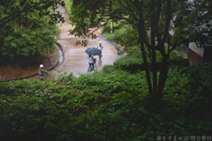 国営飛鳥歴史公園　高松塚周辺地区