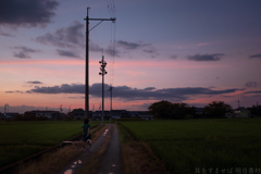 橿原市城殿町　本薬師寺跡