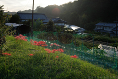 明日香村　大字祝戸