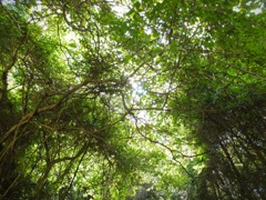 明日香村 尾曽（ おおそ ）集落