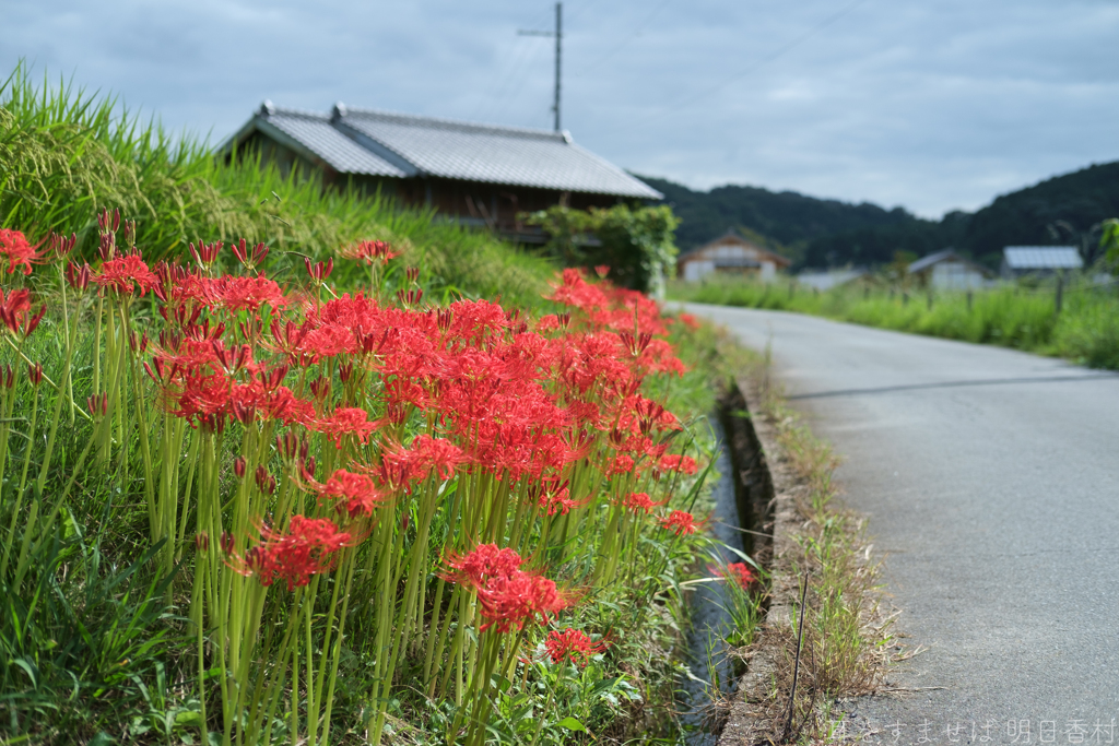 明日香村　大字岡