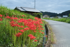 明日香村　大字岡