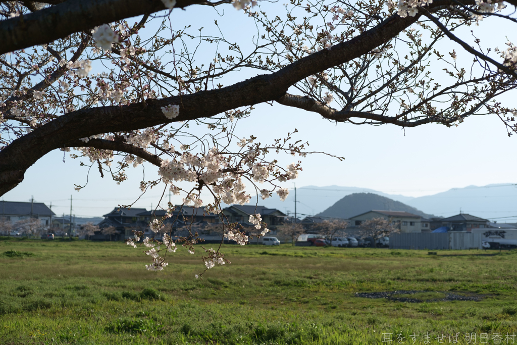 奈良県橿原市醍醐町