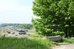 明日香村　大字大根田